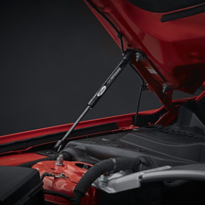 Plinski amortizerji z logotipom Ford Performance